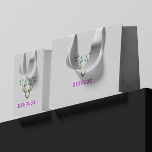 Custom paper bags with logo for corporate gifts in dubai